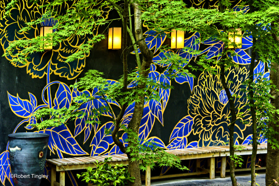 Kyoto Restaurant